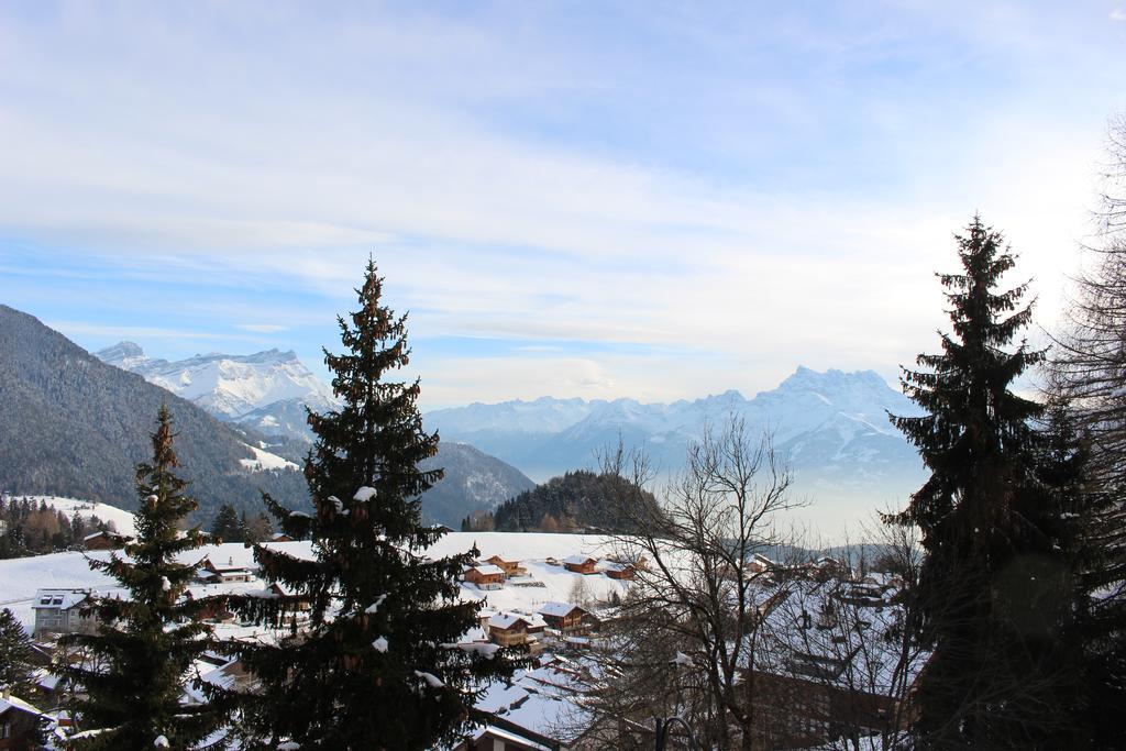 Les Frenes Apartment Leysin Bagian luar foto