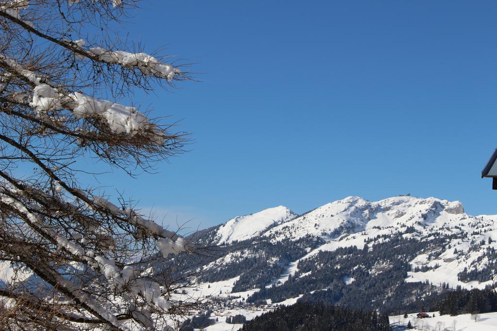 Les Frenes Apartment Leysin Bagian luar foto