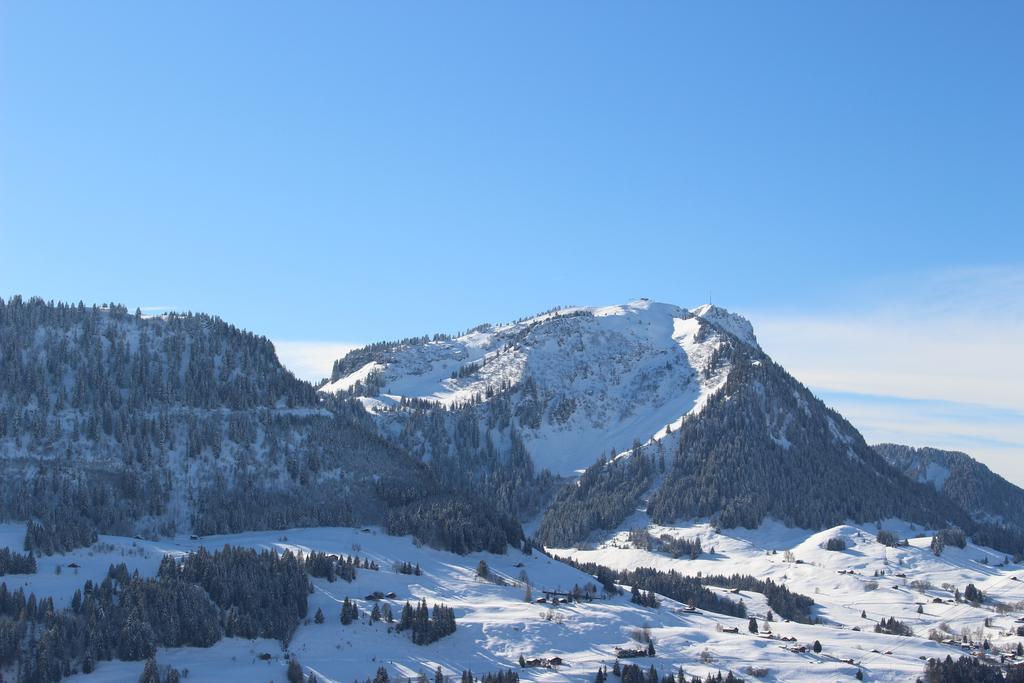 Les Frenes Apartment Leysin Bagian luar foto